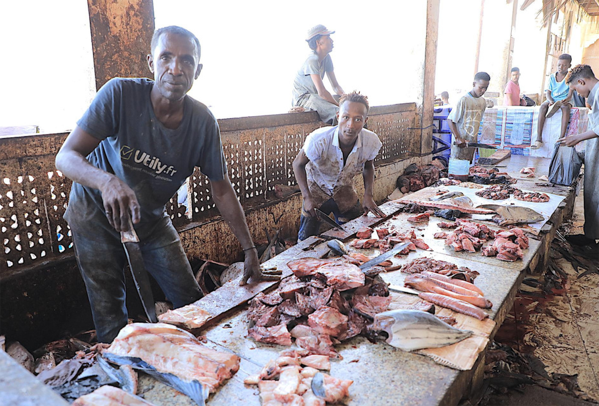 Bollettino n. 5 – progetto “I.N.FORMA.L. . Istruire, Normare, FORMAre, Lavorare. Dall’informale al formale per la crescita inclusiva, la pace e il dialogo sociale in Somalia”- AID 012590/03/0
